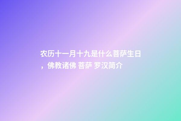 农历十一月十九是什么菩萨生日，佛教诸佛 菩萨 罗汉简介-第1张-观点-玄机派
